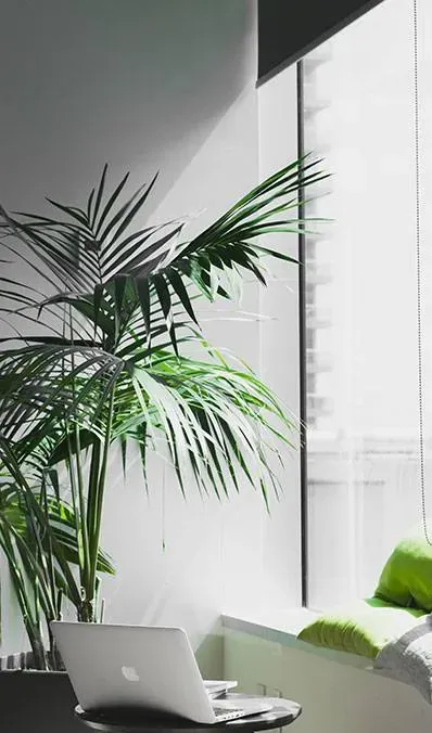 Assurance locaux professionnels